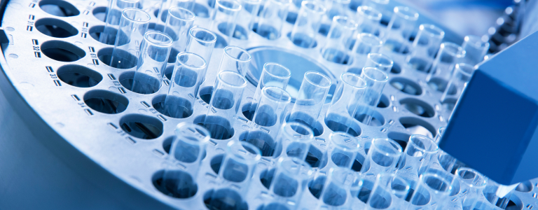 Process Knowledge Management