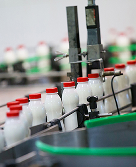 Dairy, Cheese & Yogurt