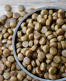 Pet Food